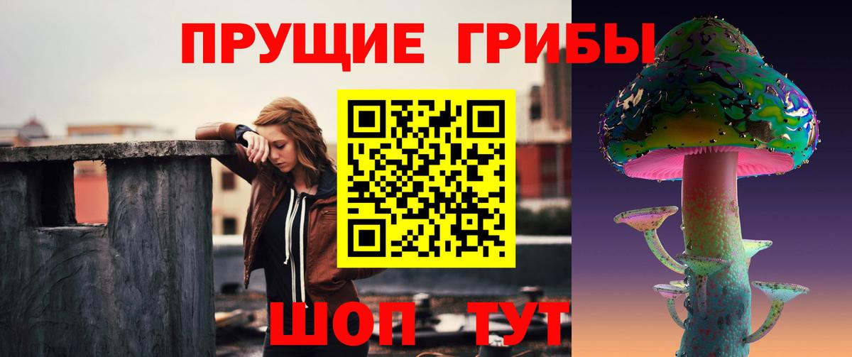 Котельники  как найти закладки  Галлюциногенные грибы GOLDEN TEACHER  Вход с VPN  Псилоцибиновые грибы мухоморы 